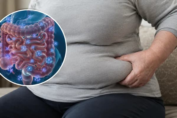 Illustration of the gut overlaid on a seated person holding their midsection
